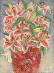 star lilly